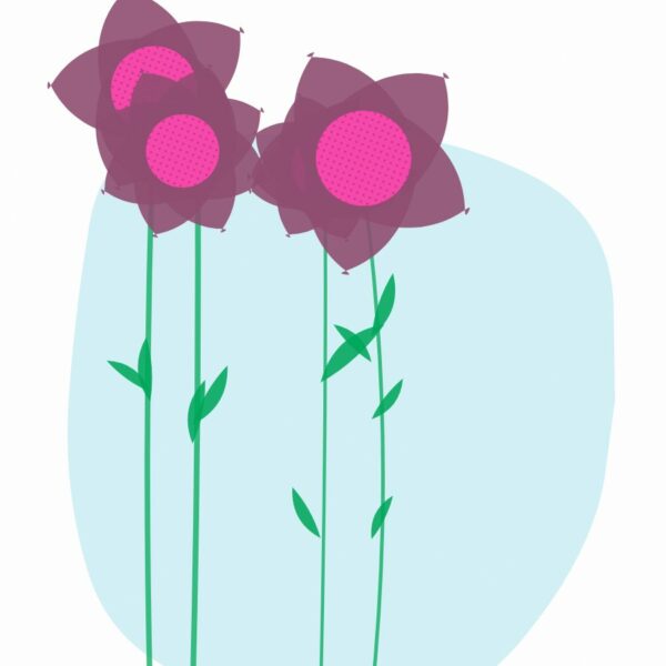 Little bloom mini
