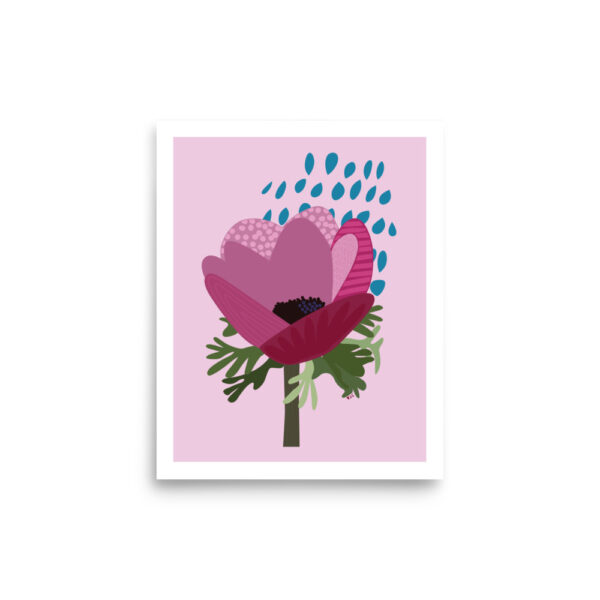Rosy Anemone