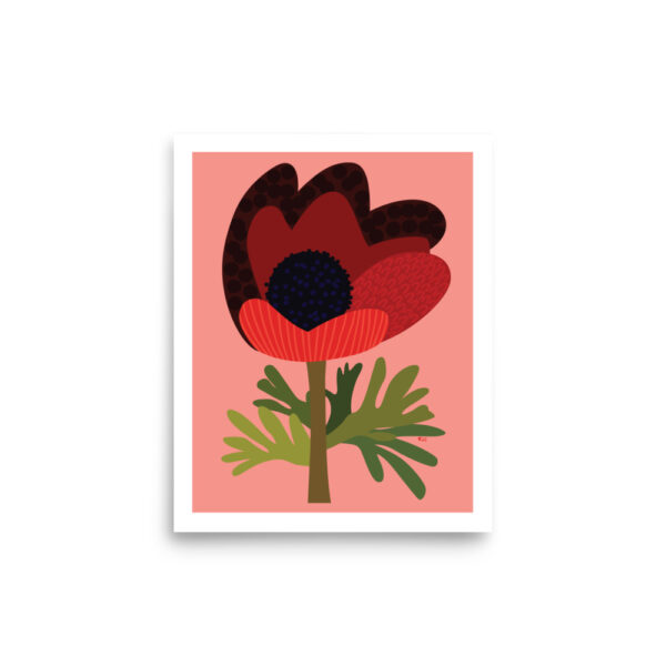 Red Anemone