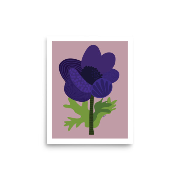 Purple Anemone