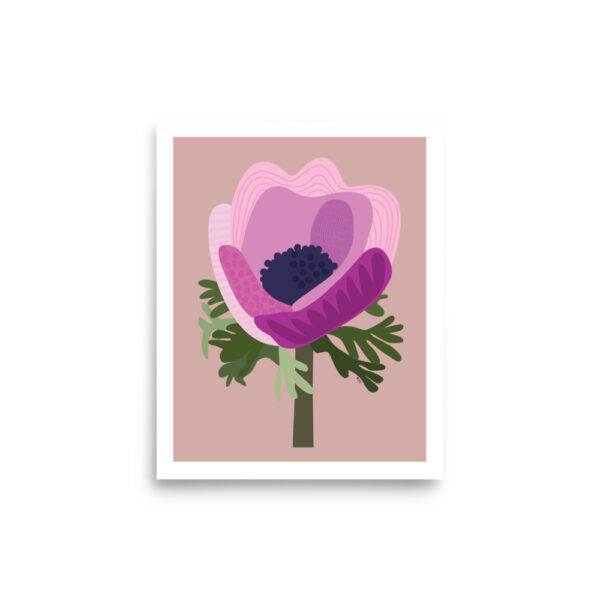 Fuchsia Anemone
